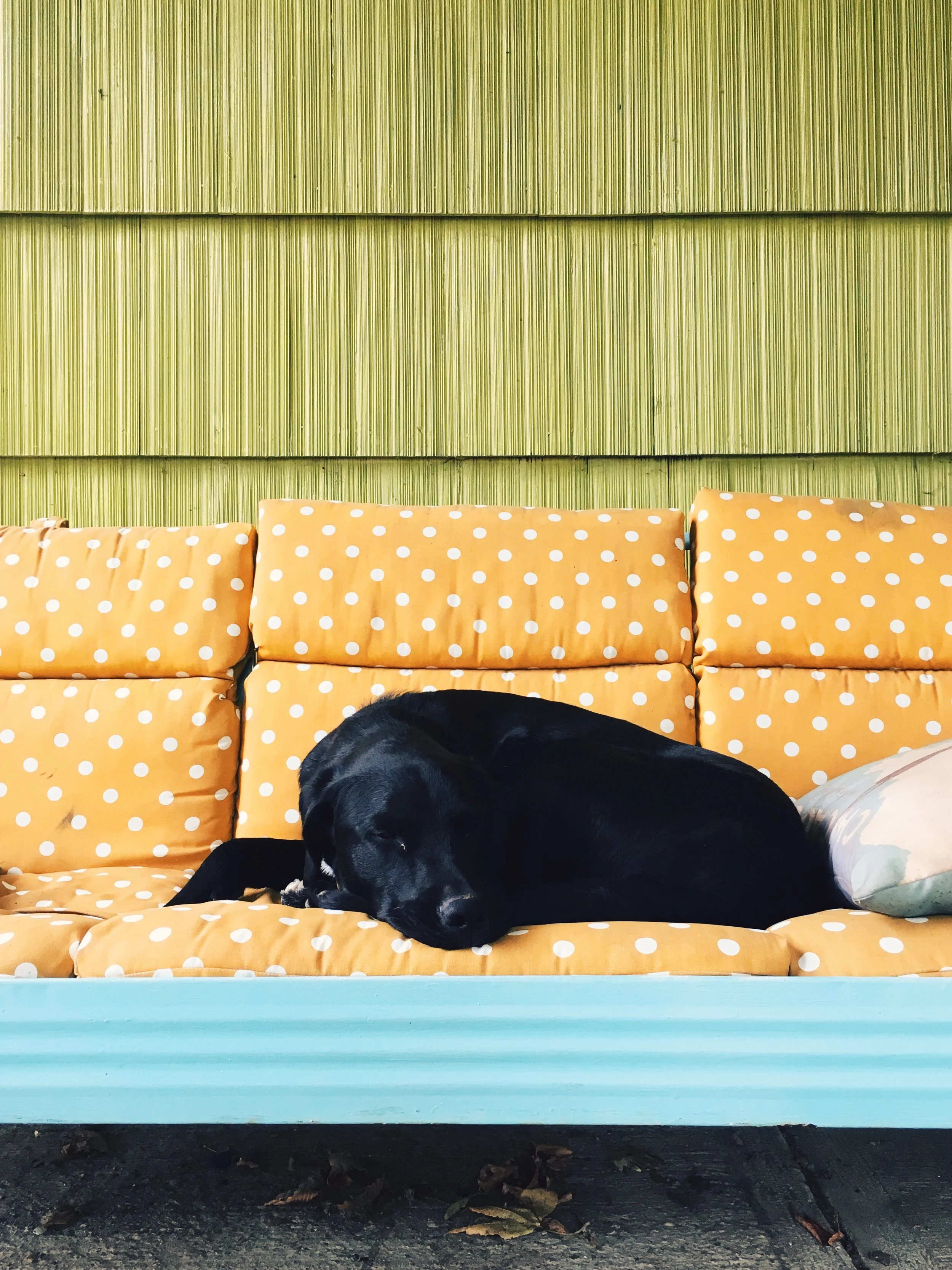 File Jan 11, 4 11 00 PM.jpeg