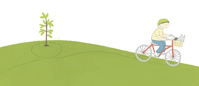CS-SSS1-1.jpg