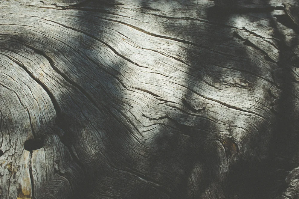 Transient