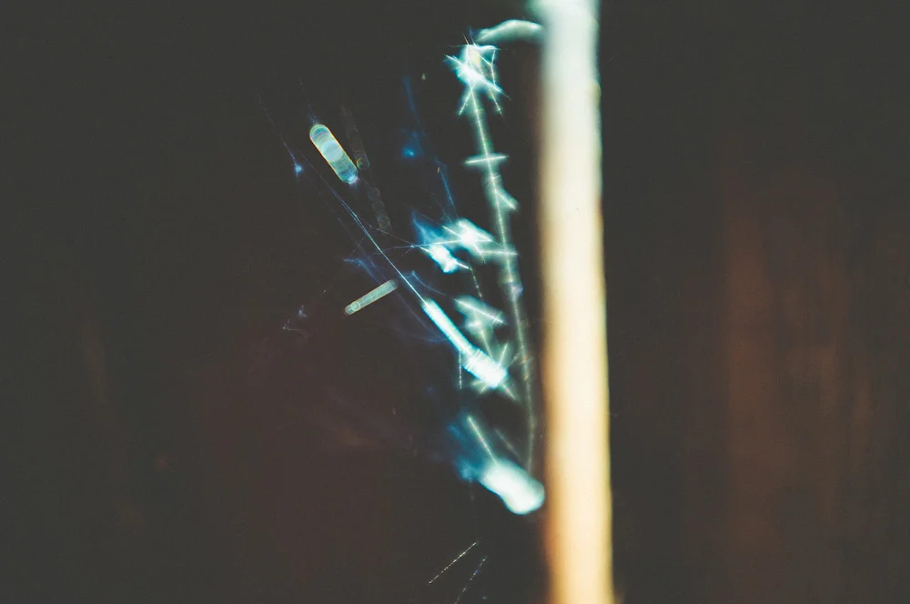 Transient