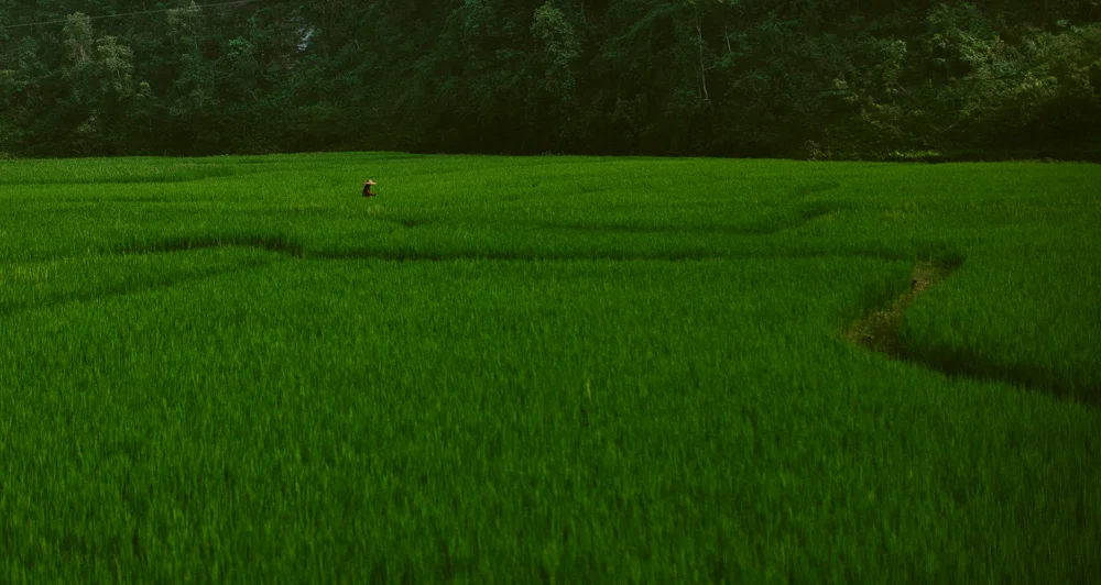 nepal_alecvanderboom_B+(1+of+51).jpg