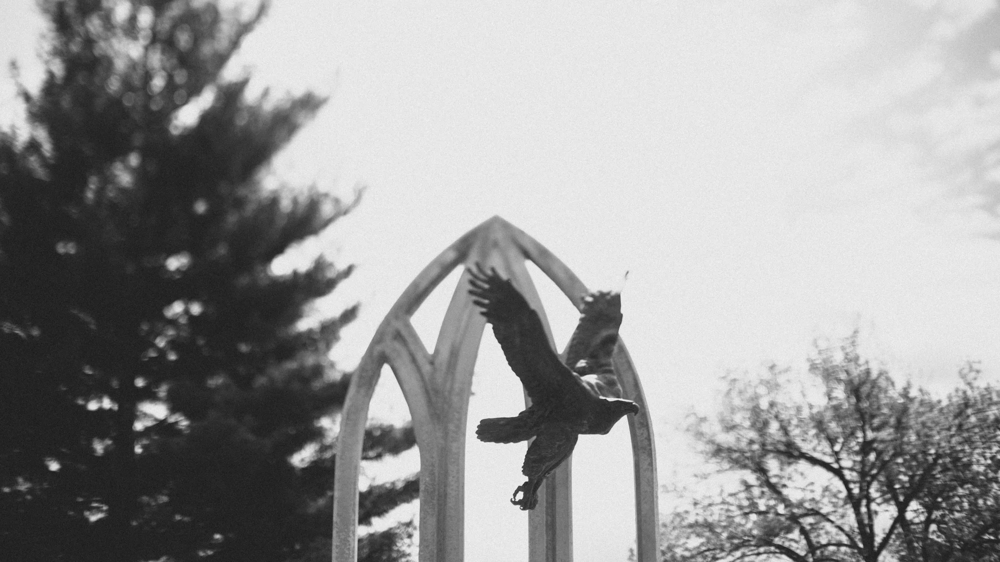 alec_vanderboom_john_brown_university_photos-0064.jpg