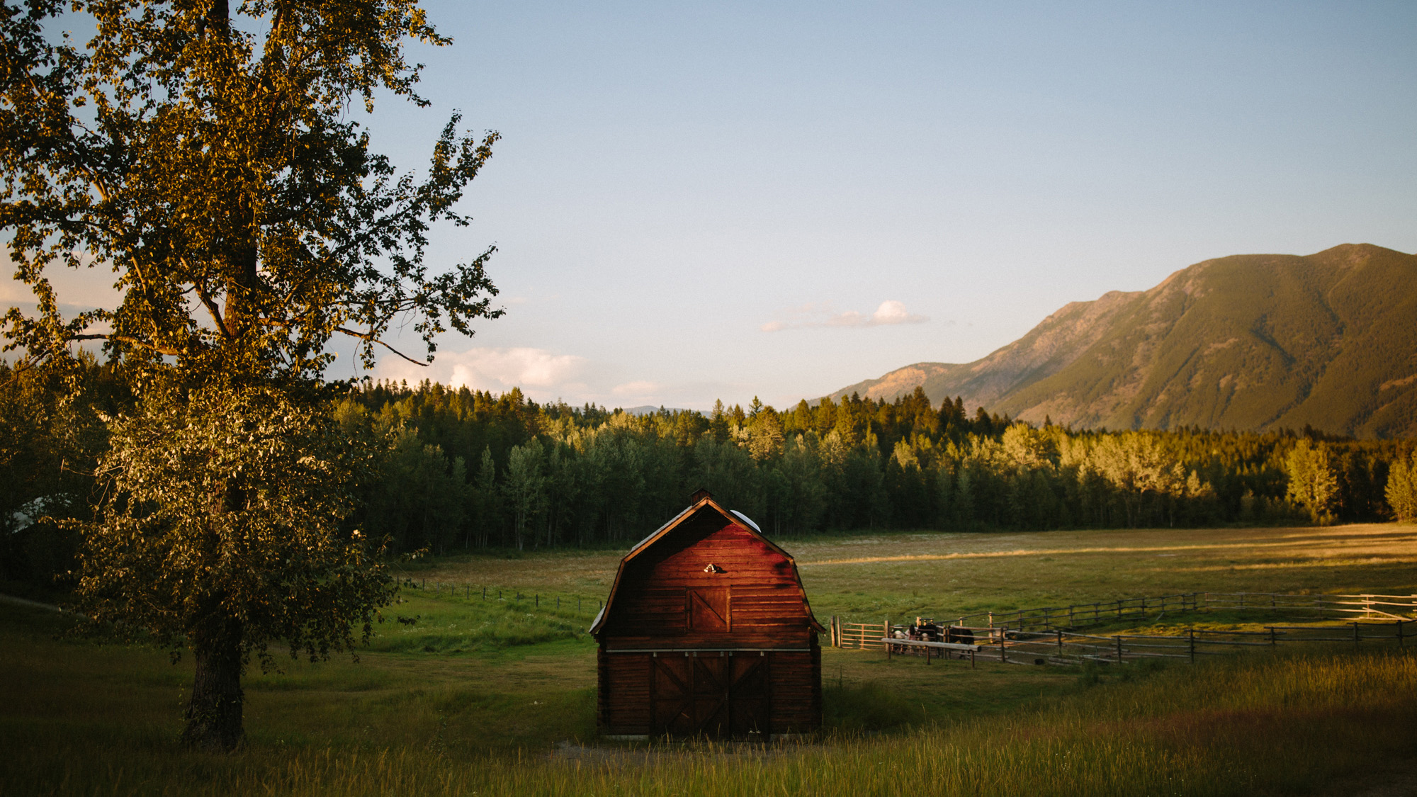 Montana_Wedding_Photos_alec_vanderboom-0032.jpg