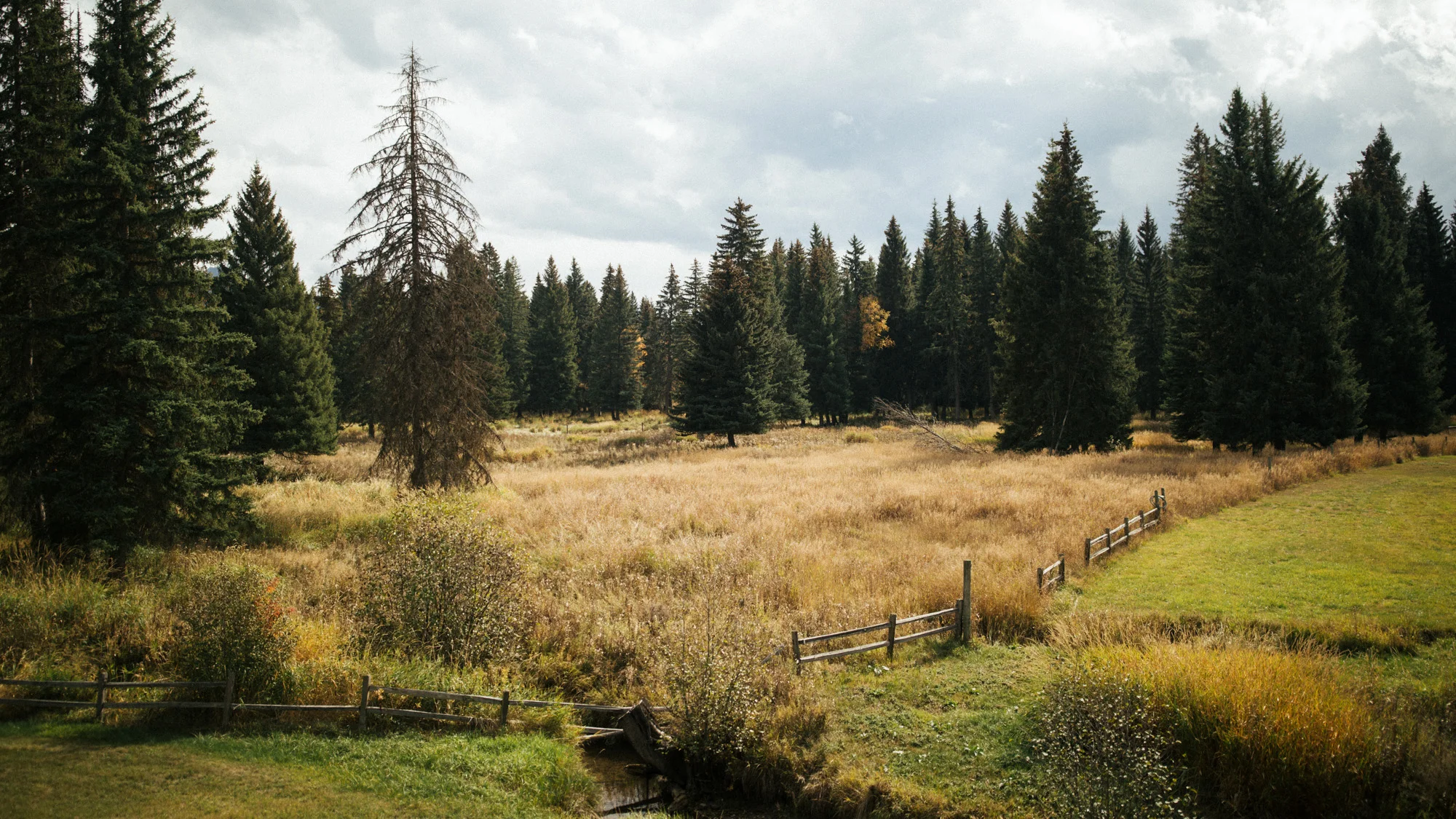 montany_wedding_photos_alec_vanderboom-0068.jpg