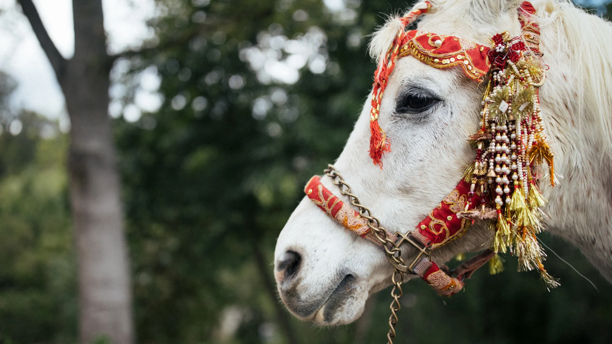anu_maneesh_alec_vanderboom_Indian_wedding_photography-0067.jpg