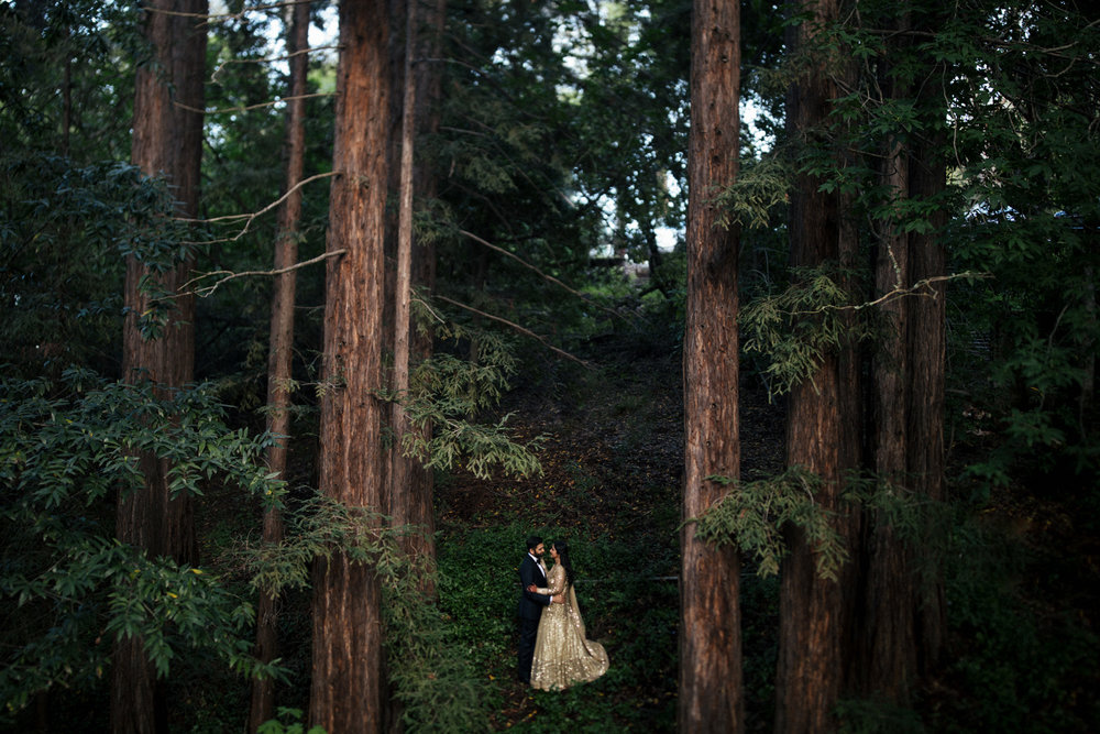 anu_maneesh_alec_vanderboom_Indian_wedding_photography-0146.jpg