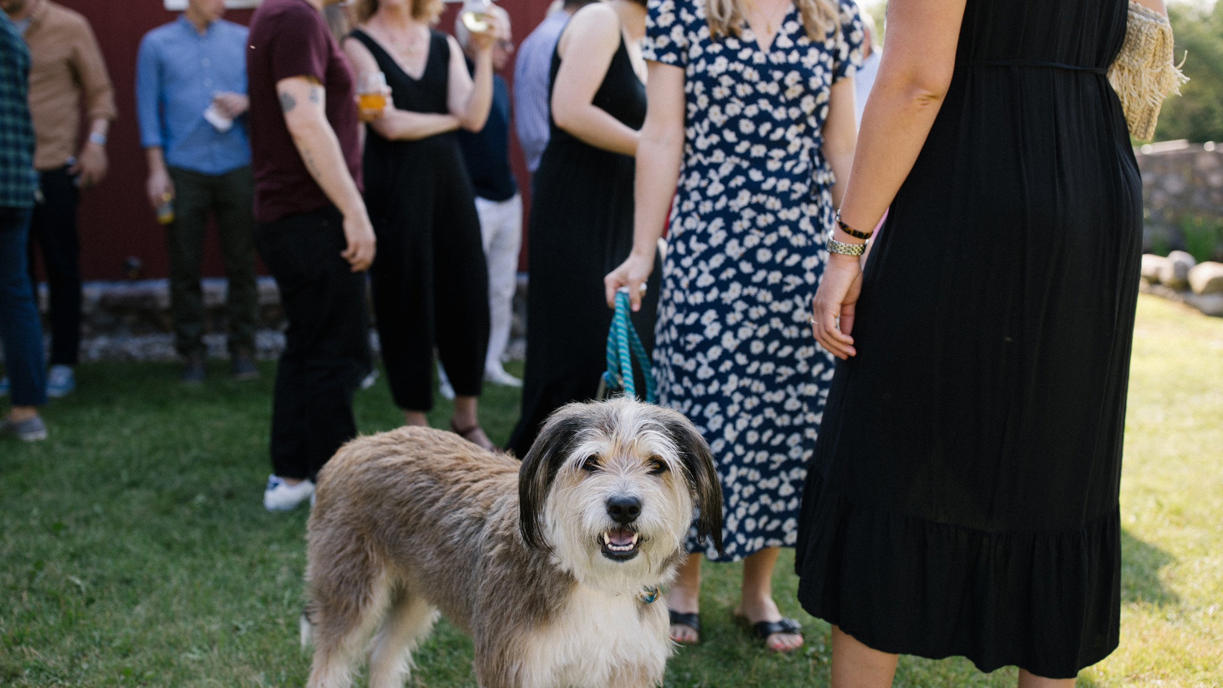 alec_vanderboom_vermont_wedding_photography-0016.jpg