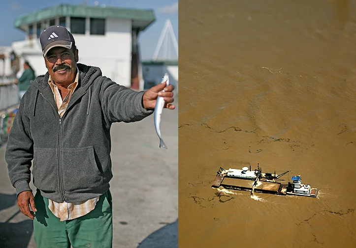 tugboatfish.jpg