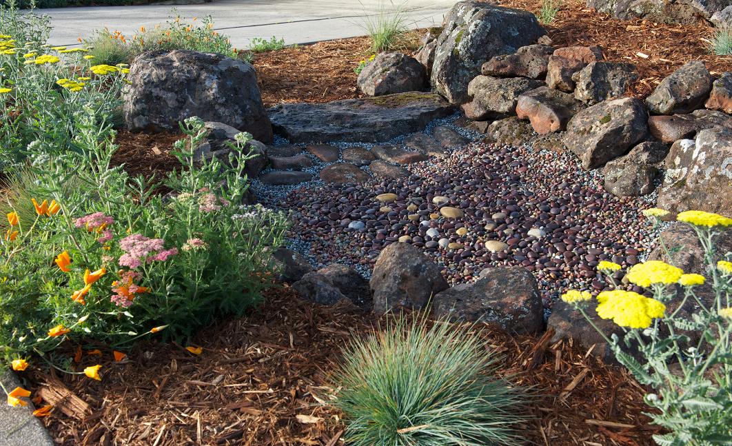 1 ND upper creek bed yarrow fescue small.JPG