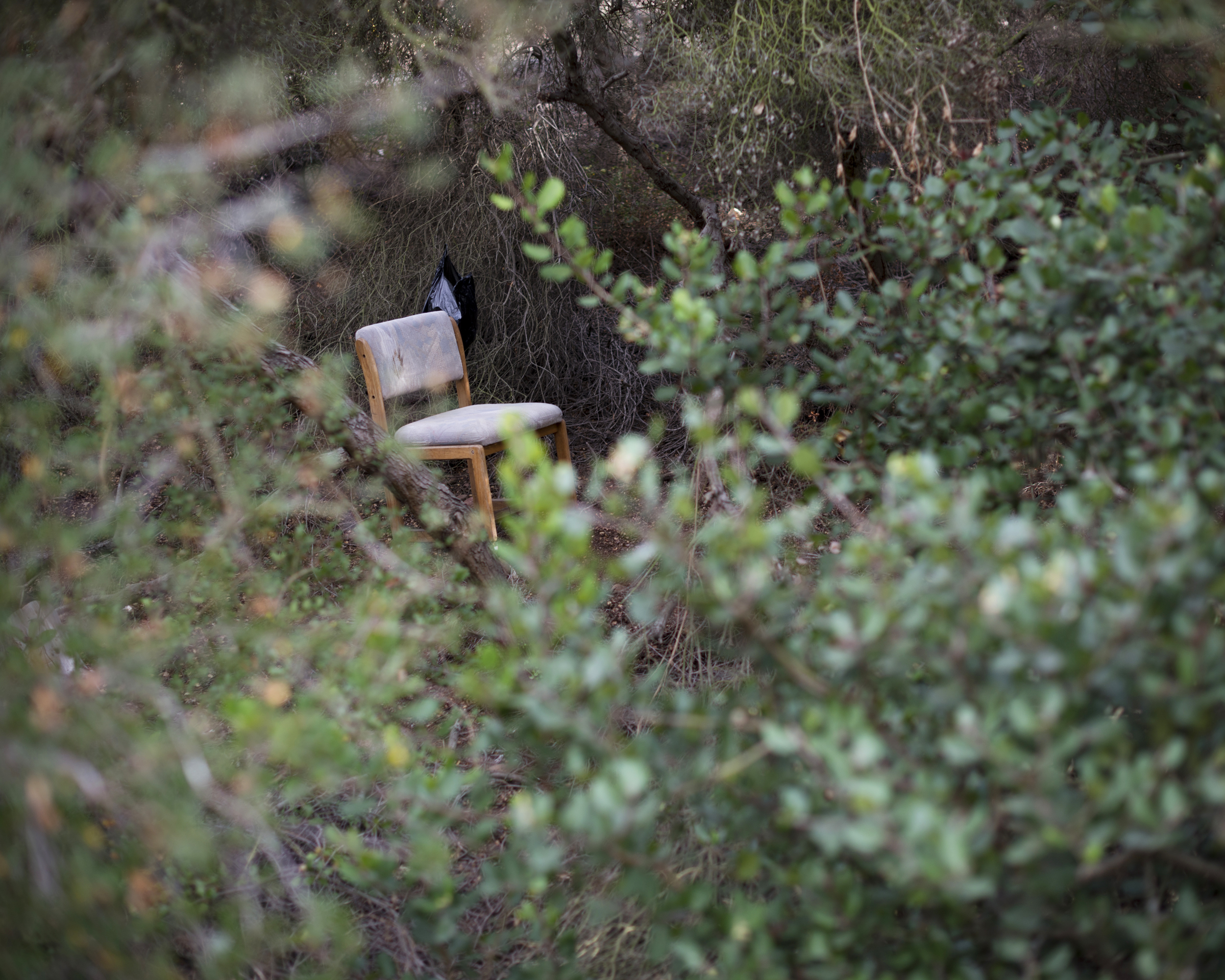 05_MattGainer_TheHeights_ManzanitaCanyon.jpg