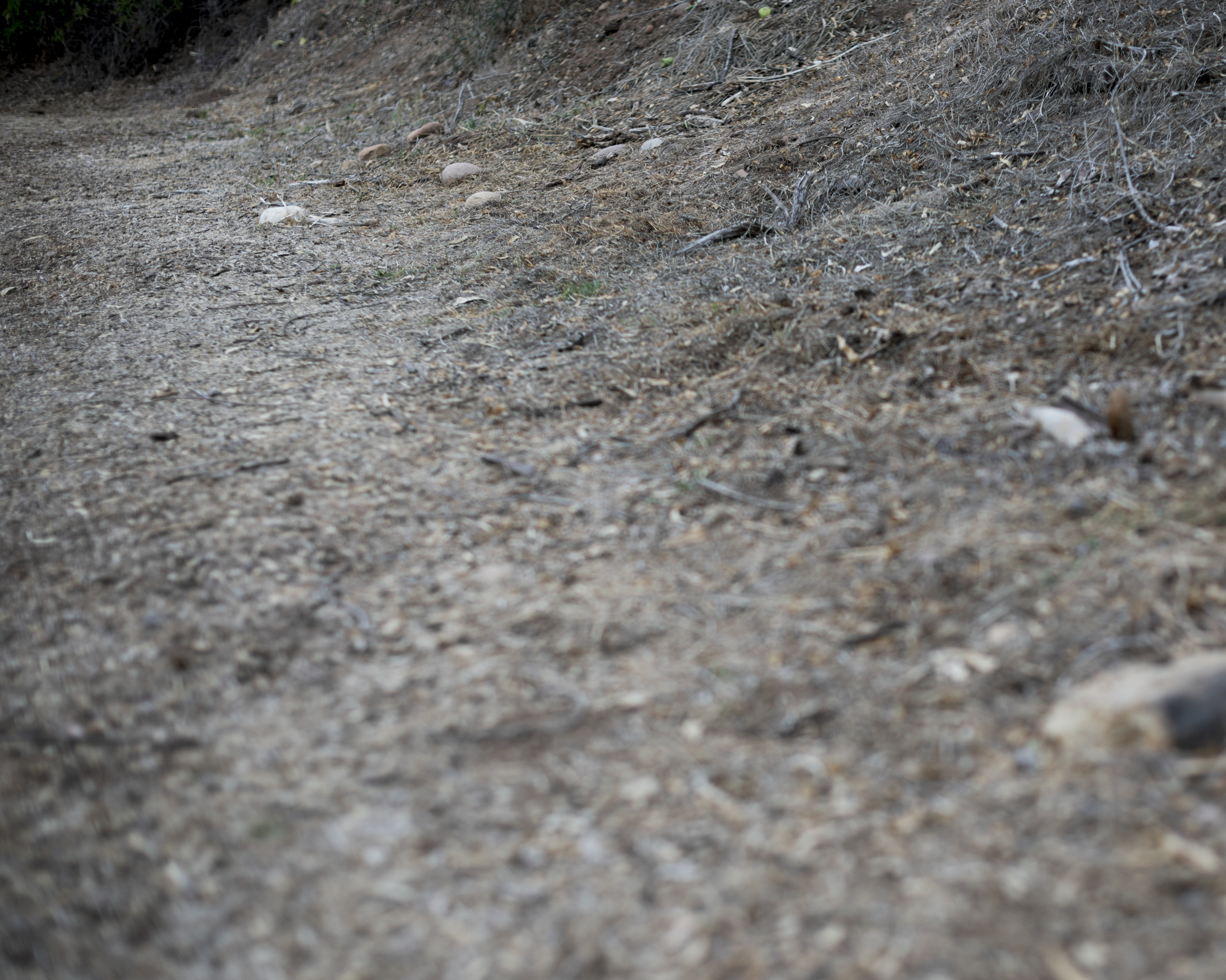 18_MattGainer_TheHeights_untitled-88.jpg