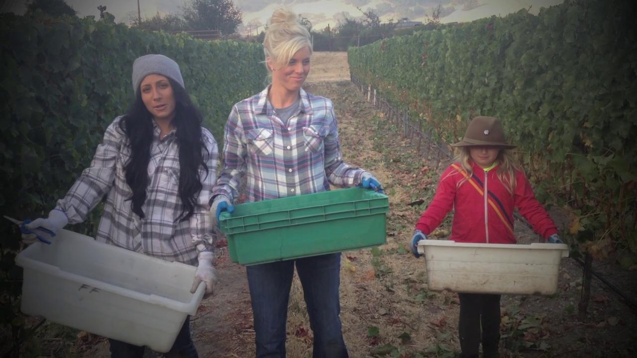 First Day of Harvest 9/11/12