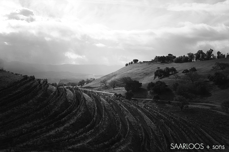 Terraces black and white.png