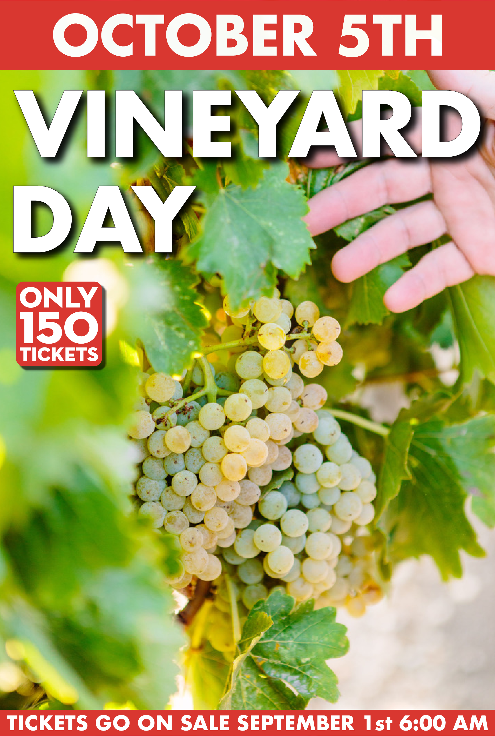 Vineyard Day bumpers-05.png