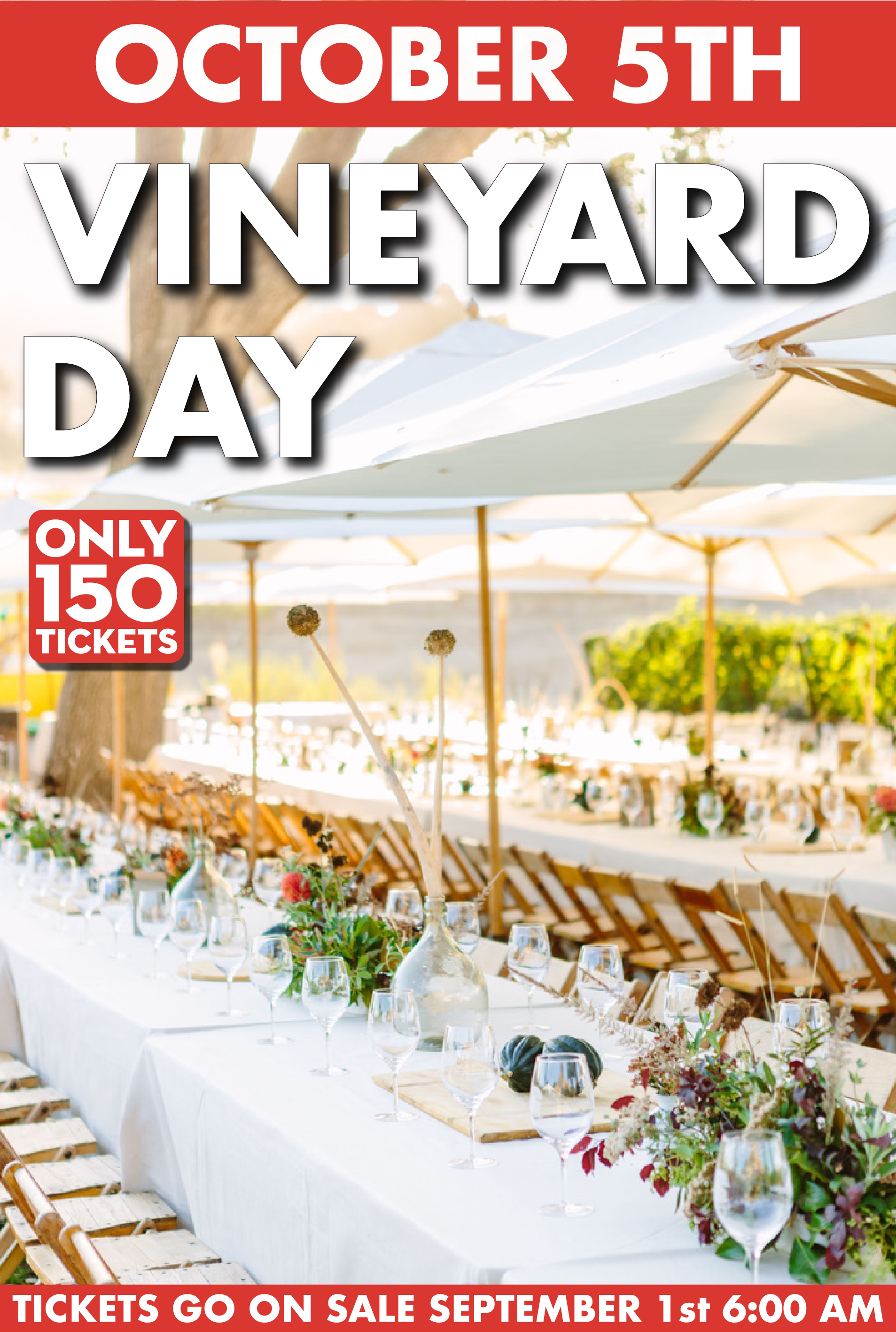 Vineyard Day bumpers-08.png