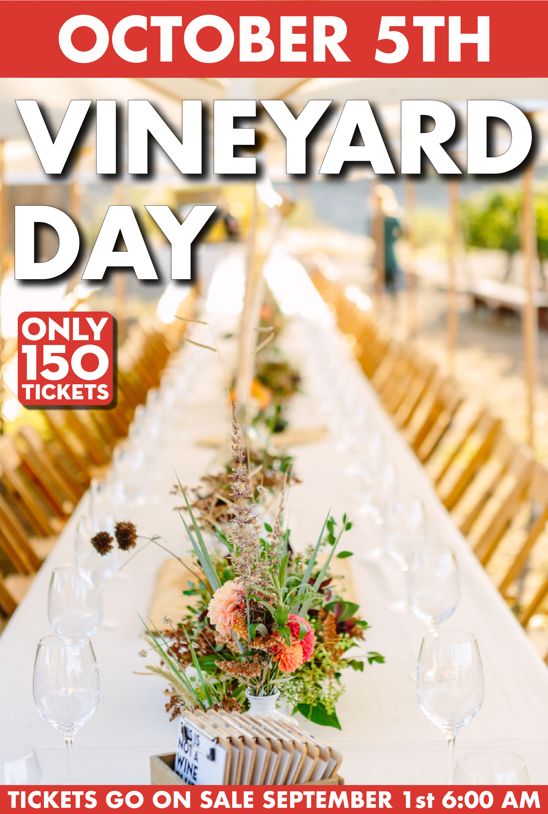 Vineyard Day bumpers-10.png
