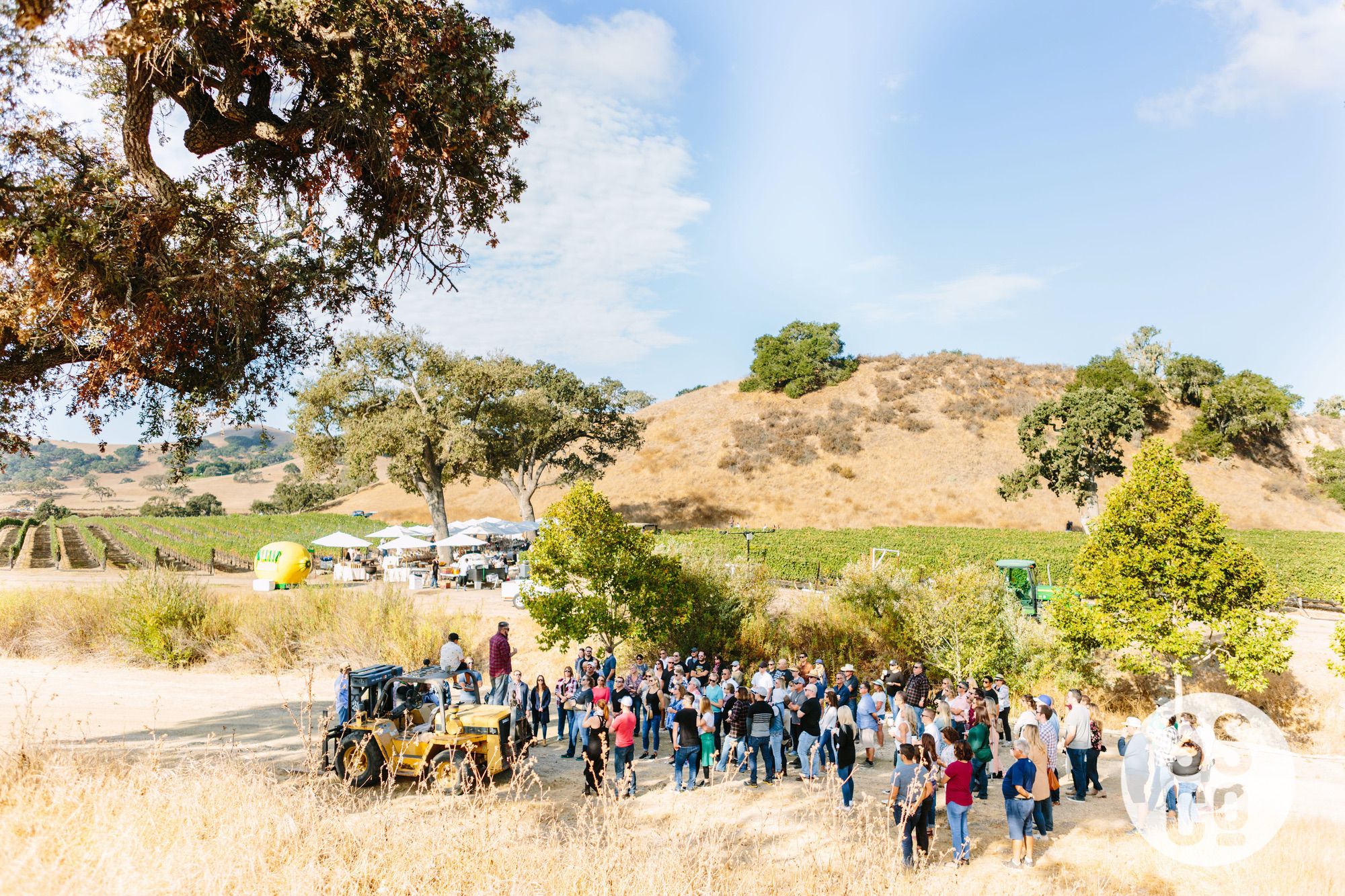 Saarloos&SonsVineyardDay2018-PhotographerLauraPedrino-402.jpg