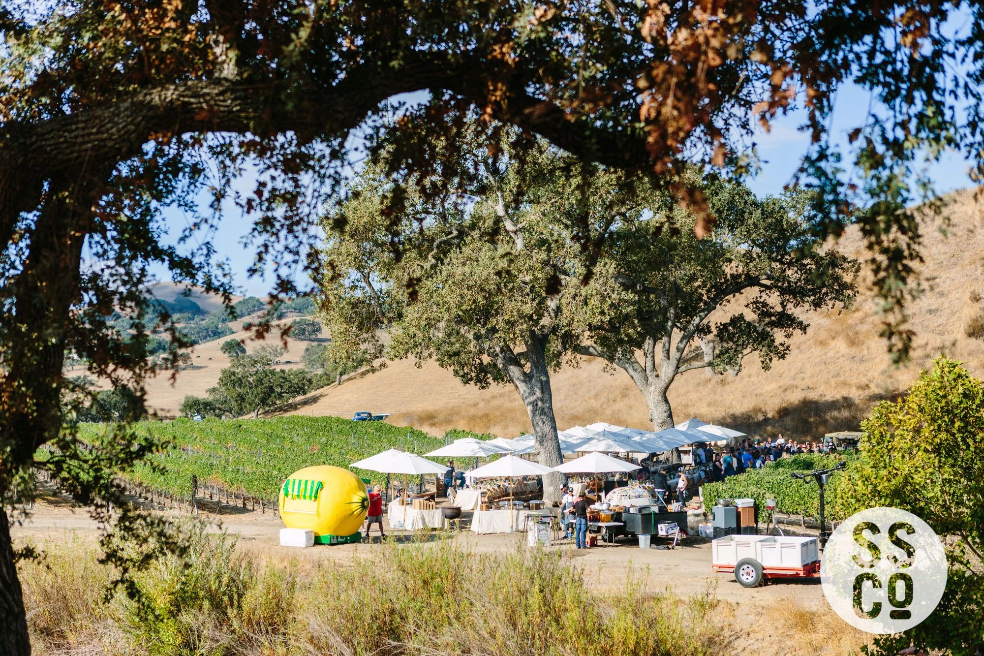 Saarloos&SonsVineyardDay2018-PhotographerLauraPedrino-405.jpg