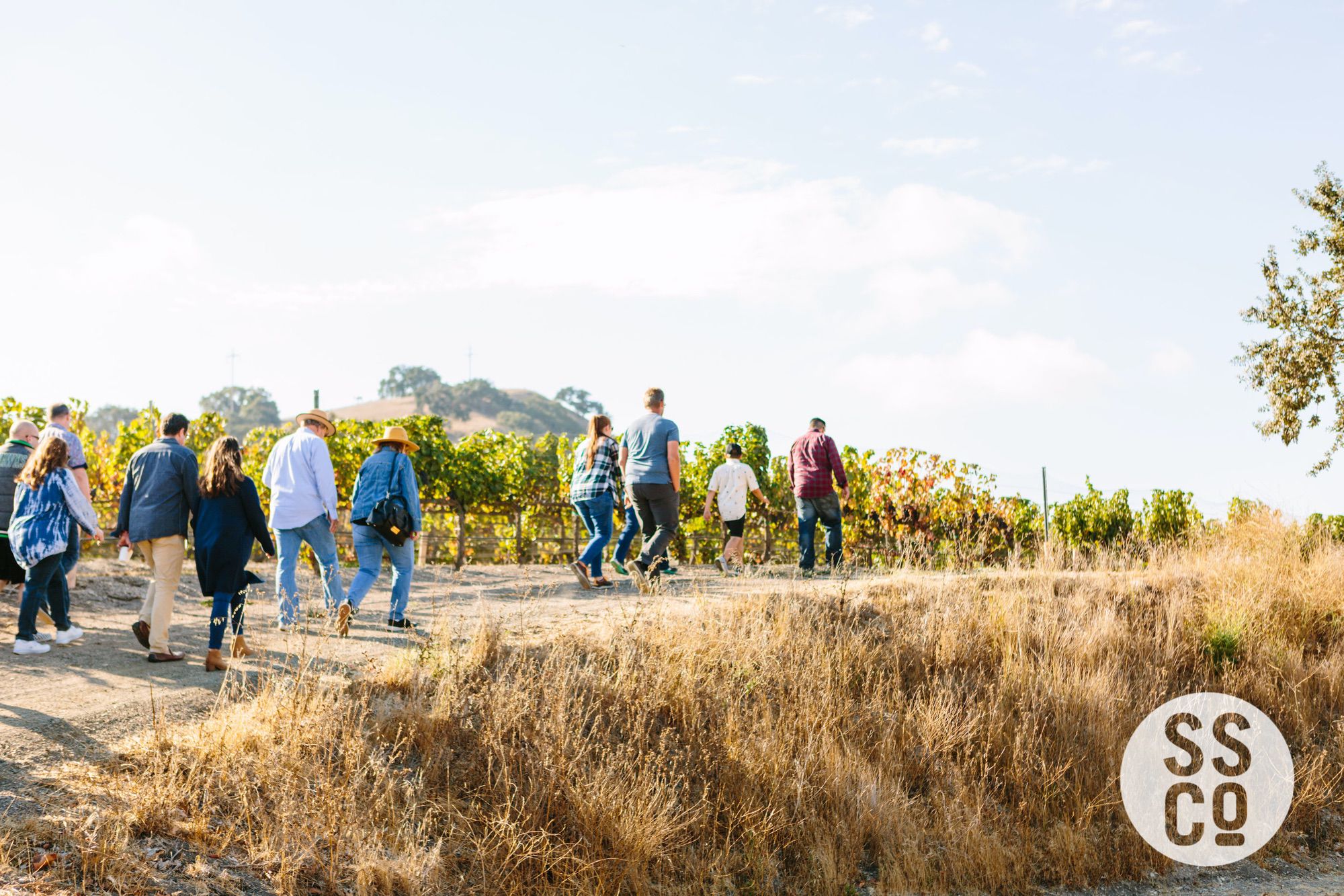 Saarloos&SonsVineyardDay2018-PhotographerLauraPedrino-454.jpg