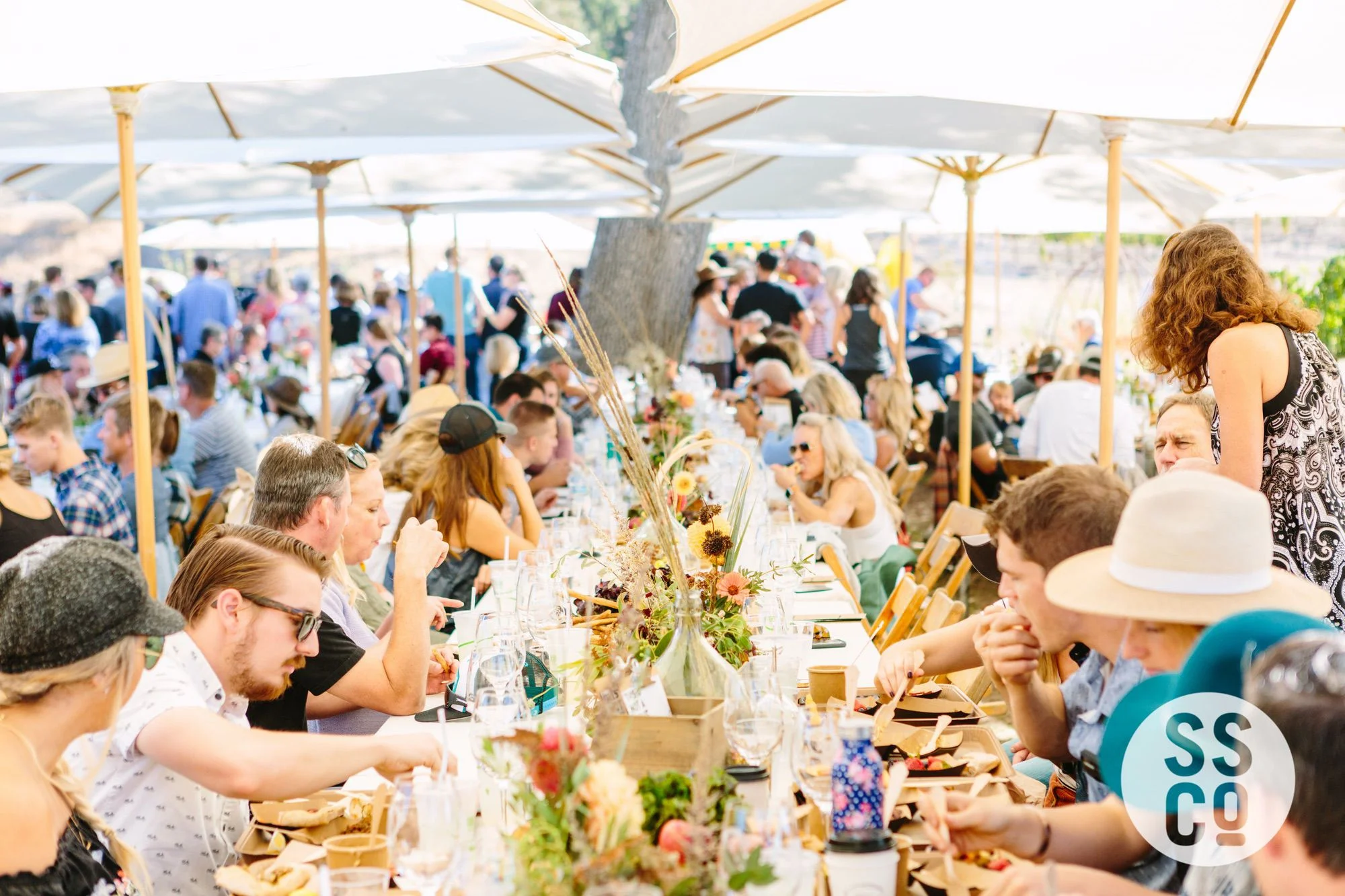 Saarloos&SonsVineyardDay2018-PhotographerLauraPedrino-694.jpg