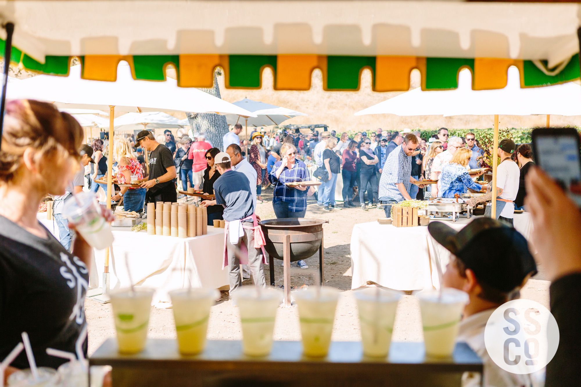Saarloos&SonsVineyardDay2018-PhotographerLauraPedrino-712.jpg