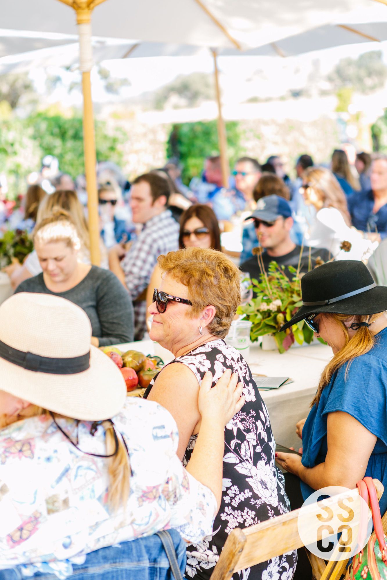 Saarloos&SonsVineyardDay2018-PhotographerLauraPedrino-1008.jpg