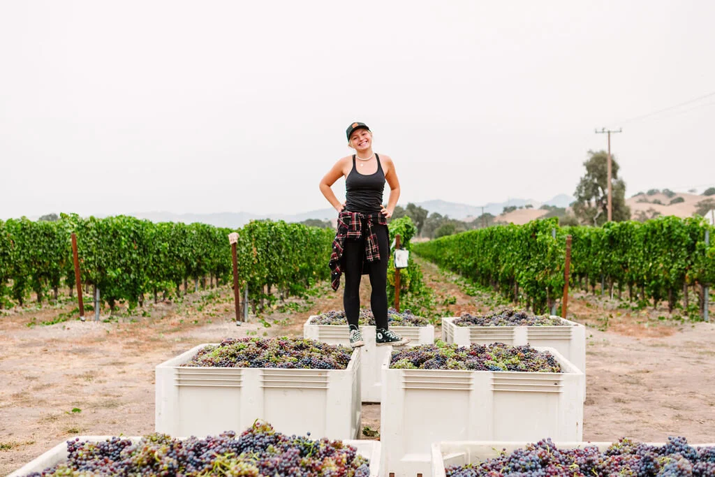 【Ohara】新政特別頒布会2017Spin off Collection Ohara Koson Shōson Flycatchers in Snow Holiday Cards | Shop