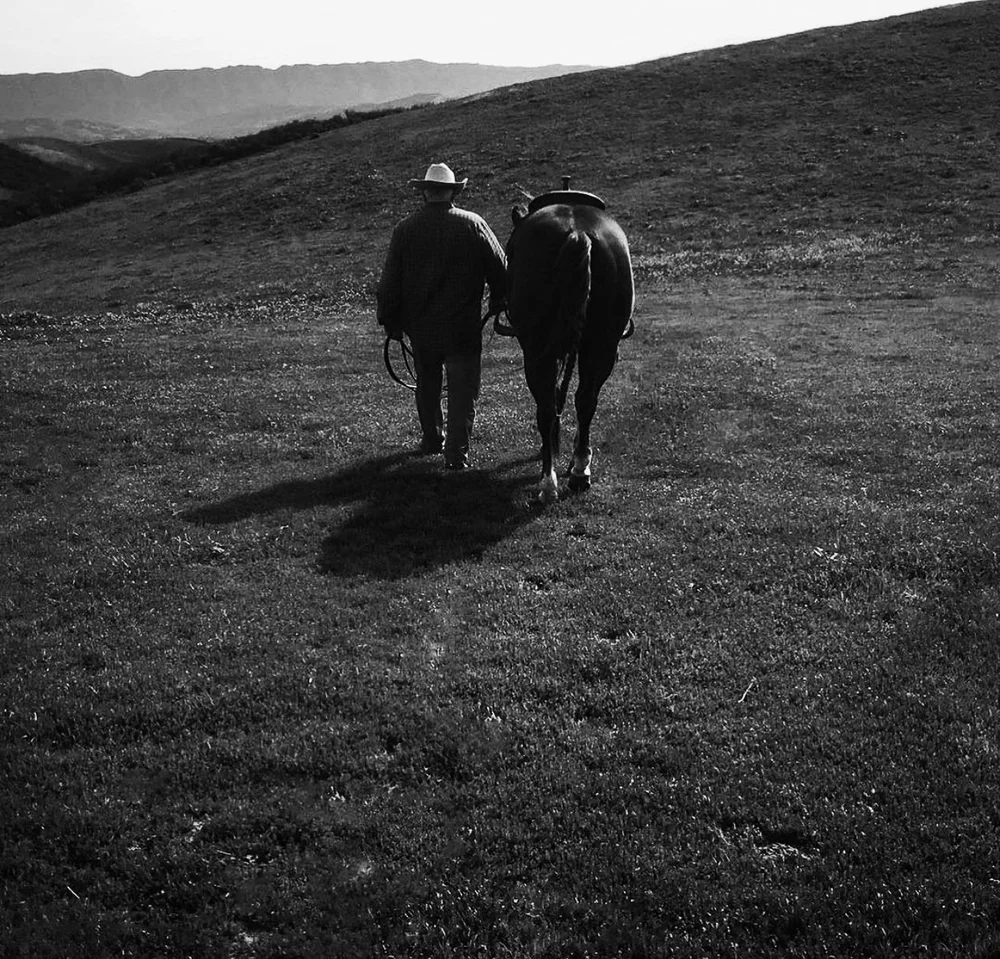 A cowboy walking alongside a horse in the Saarloos + Sons photo archive