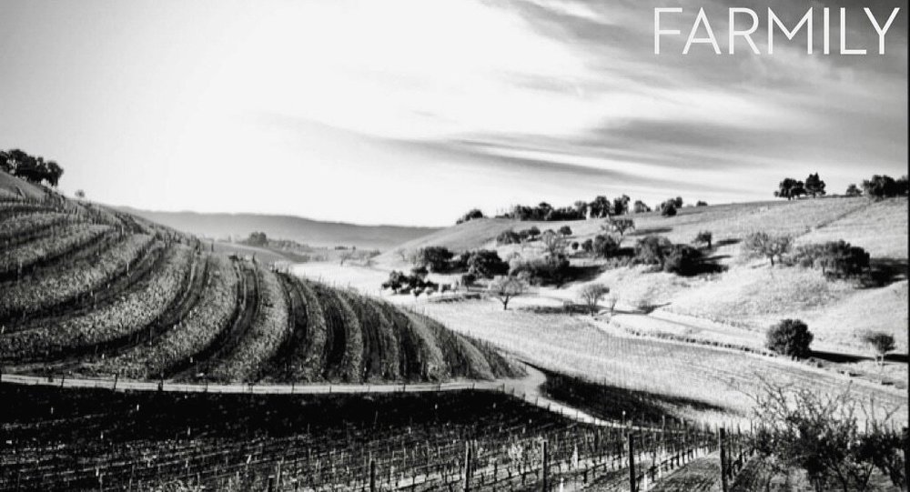 Rolling vineyards and hills from the Saarloos + Sons photo archive