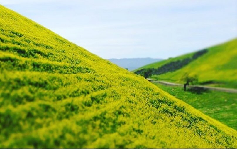 The only places I want to be : are those : that when you are silent : you can hear : God Breathing.  Find some silence.   Enjoy This Easter Week.