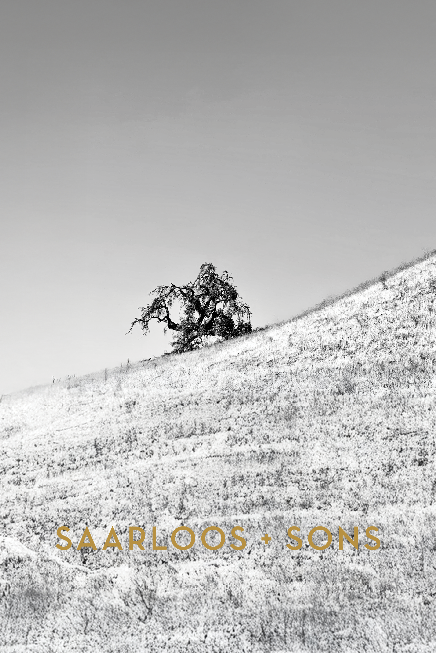 The Terraces_Resiliency F.png