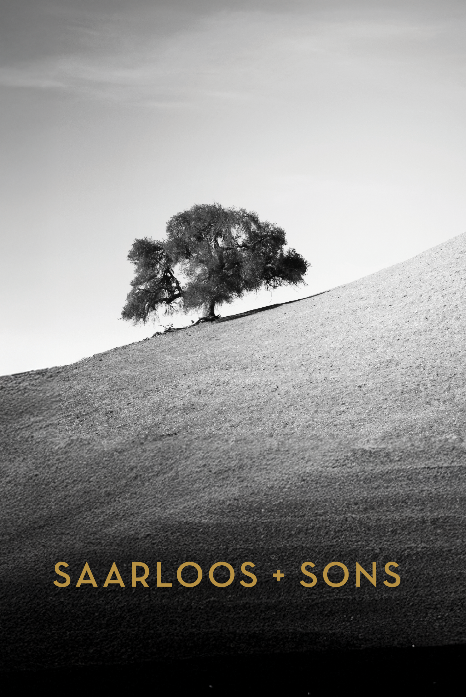 The Terraces_Purpose F.png