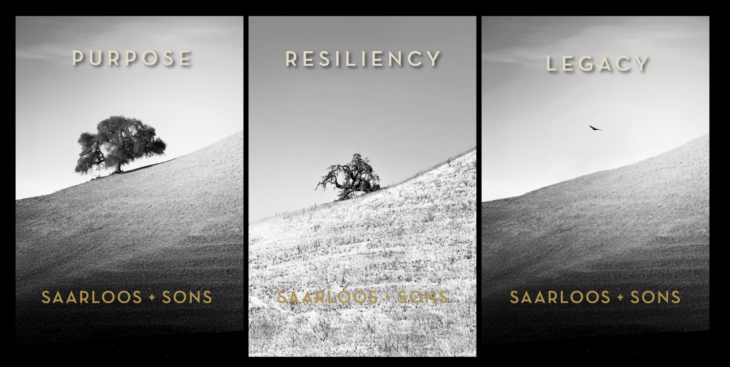 Screenshot 2026-01-30 at 12.01.21 PM.png