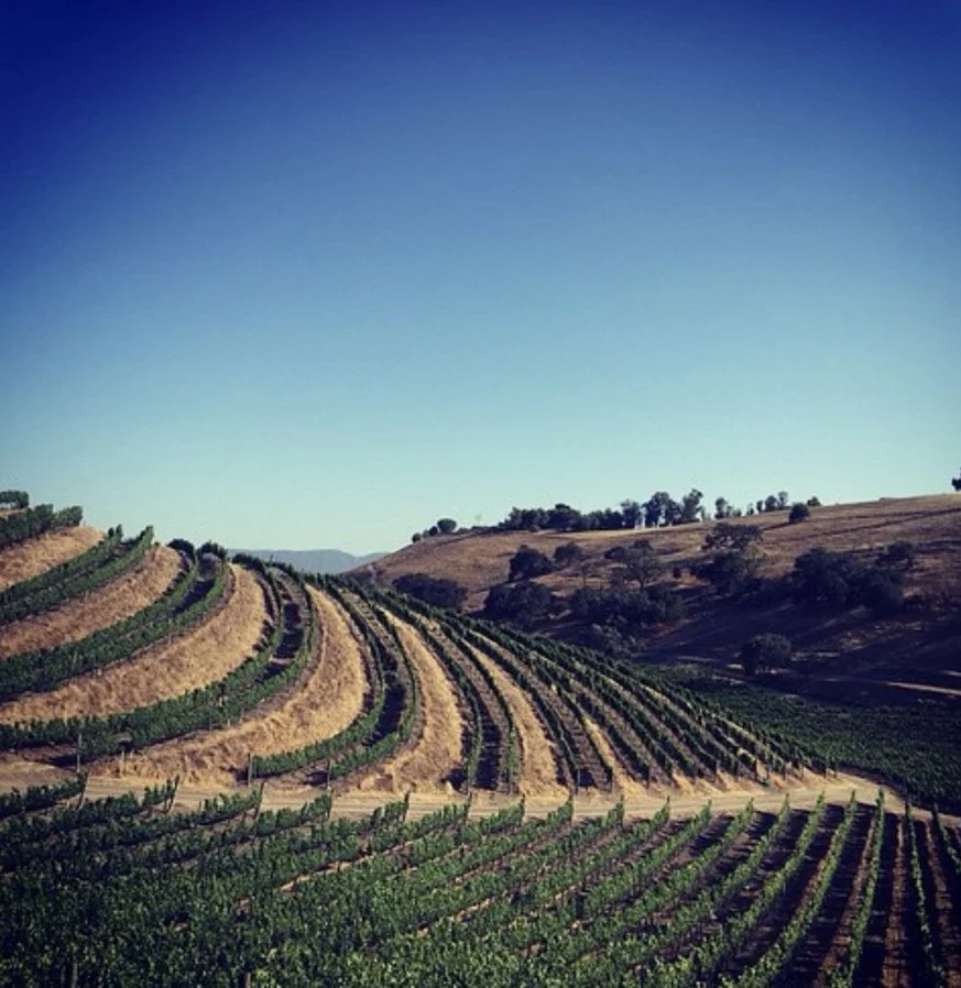 Excerpt No. 0002 - The Vineyard Is Always Talking
