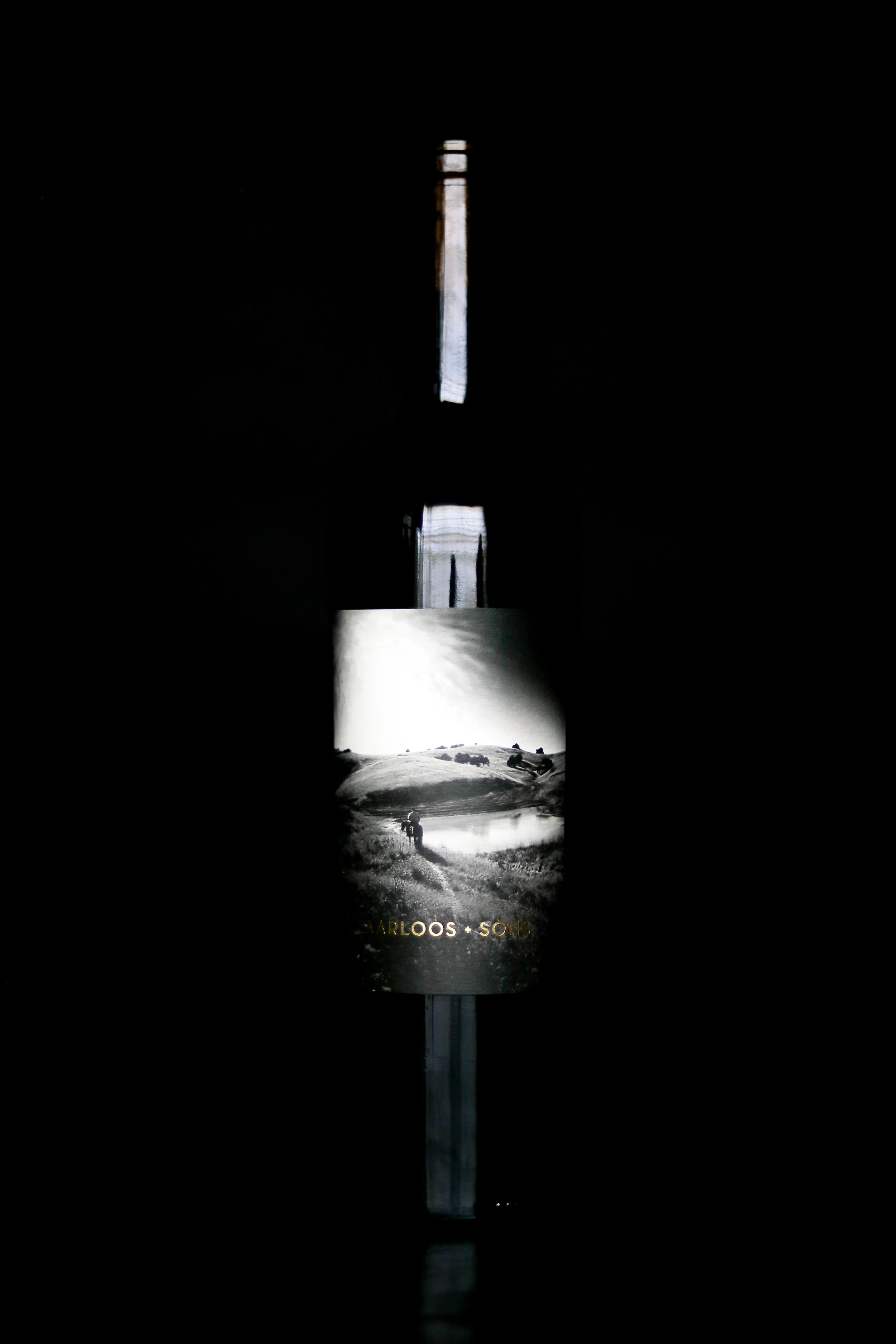 20205 BOTTLE LINE UP PHOTOS-05.jpg