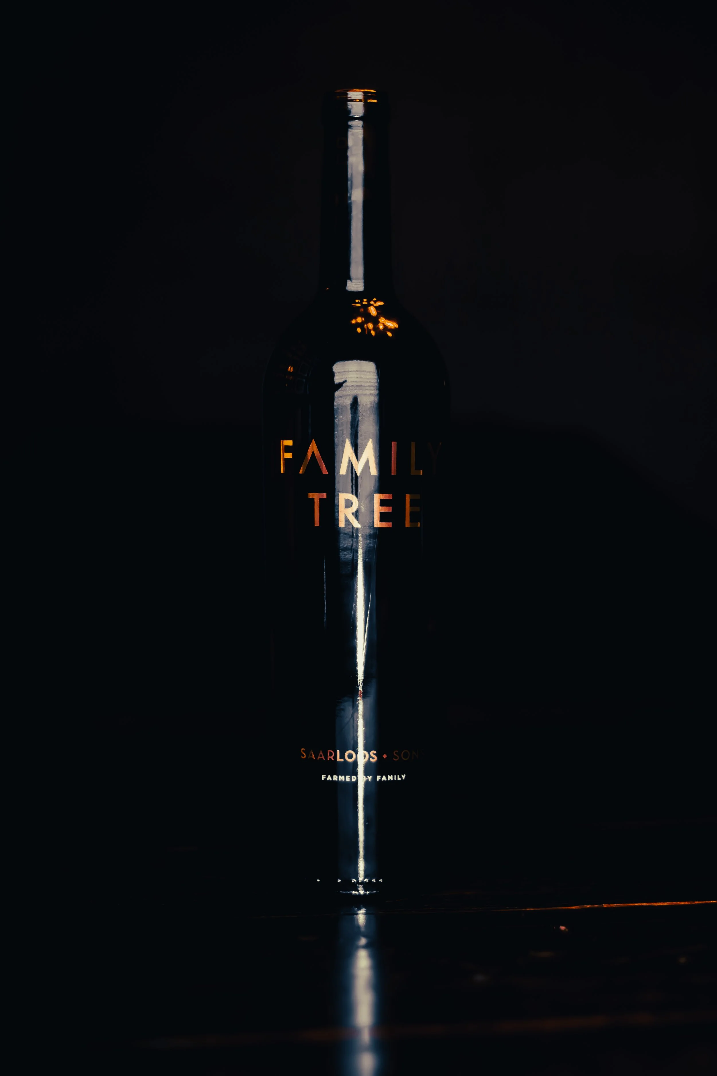 HARVEST 2024 BOTTLES-4.jpg