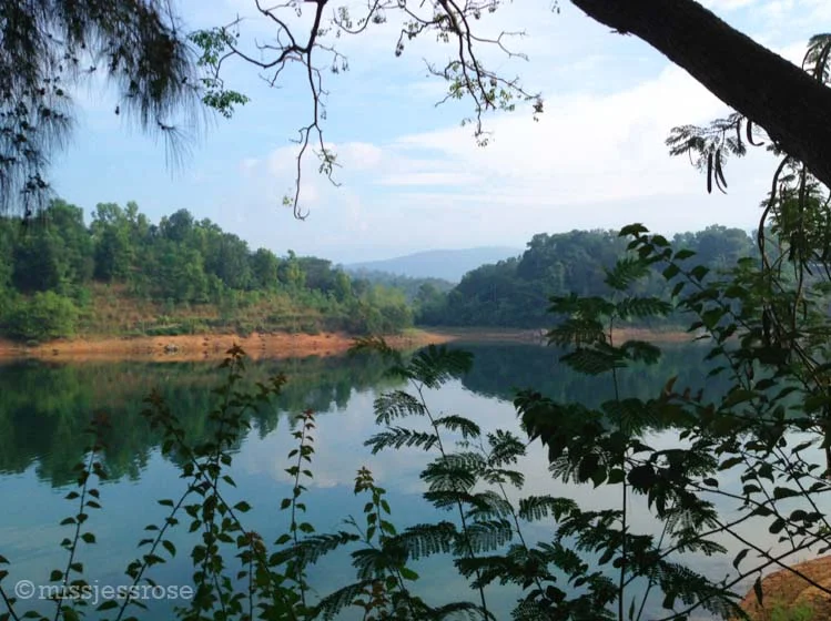 View of Neyyar Dam across from the Hindu yoga ashram