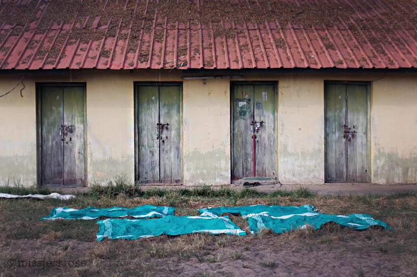 Freshly laundered cloth sheets spread out to dry