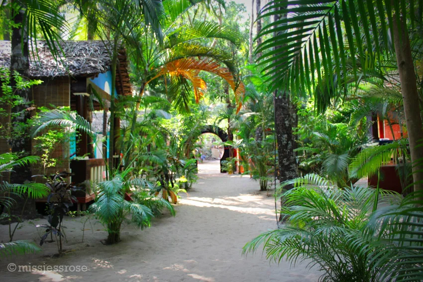 The path to the beach from Dreamcatcher in Palolem feels magical whether illuminated by sunlight or cloaked in night shadows