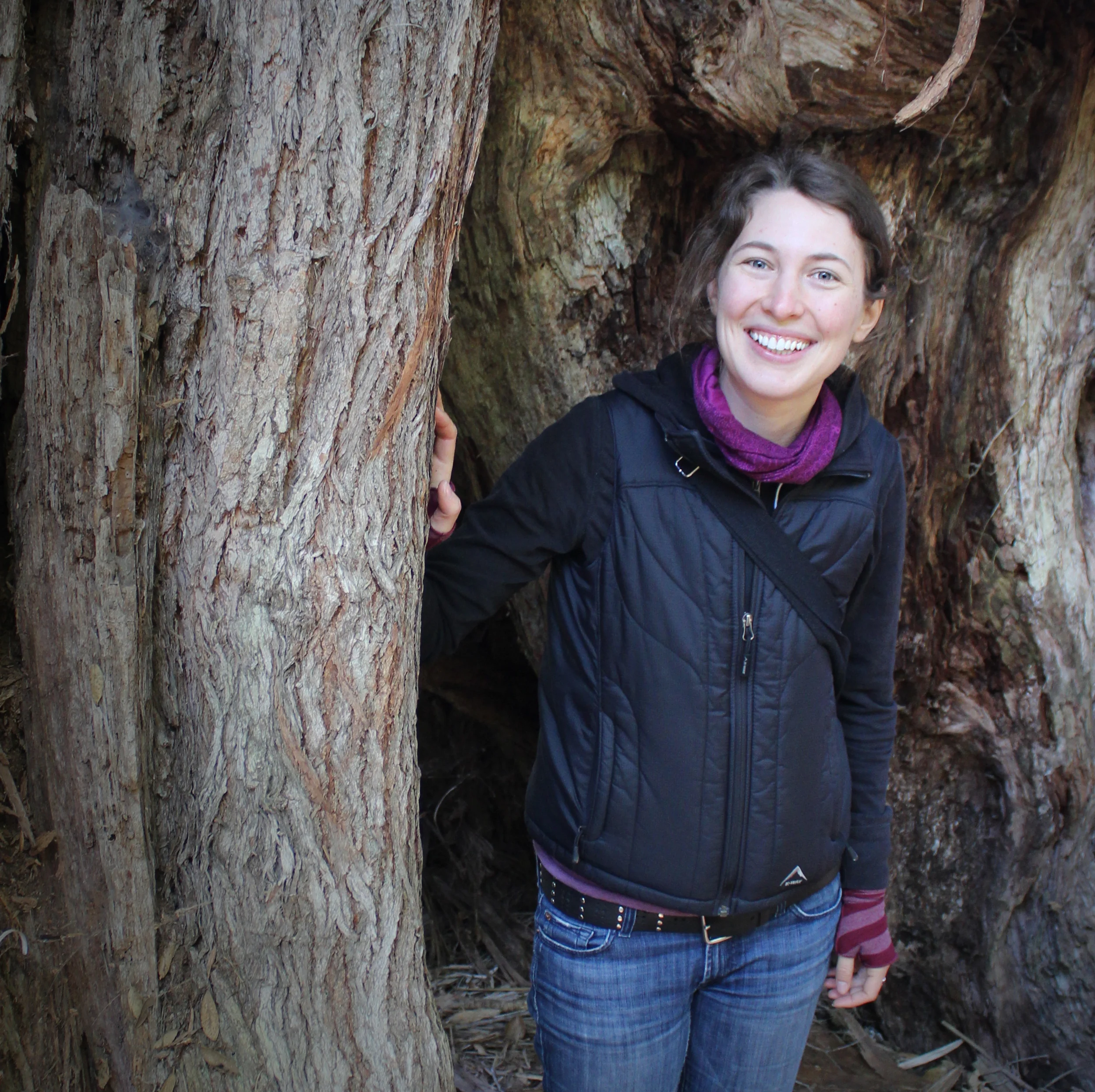 Exploring a great Rata tree in New Zealand