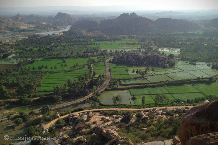 Perspective view of the rice paddies in Hampi