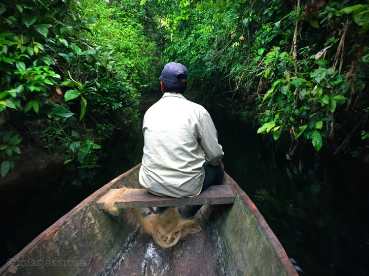 Heading deep into the jungle on a tributary off the Marañon River in the Northern Peruvian Amazon.