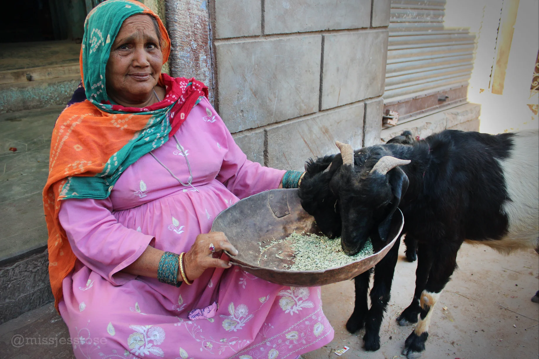 Oh nothing, just feeding the street goats, that's all. 