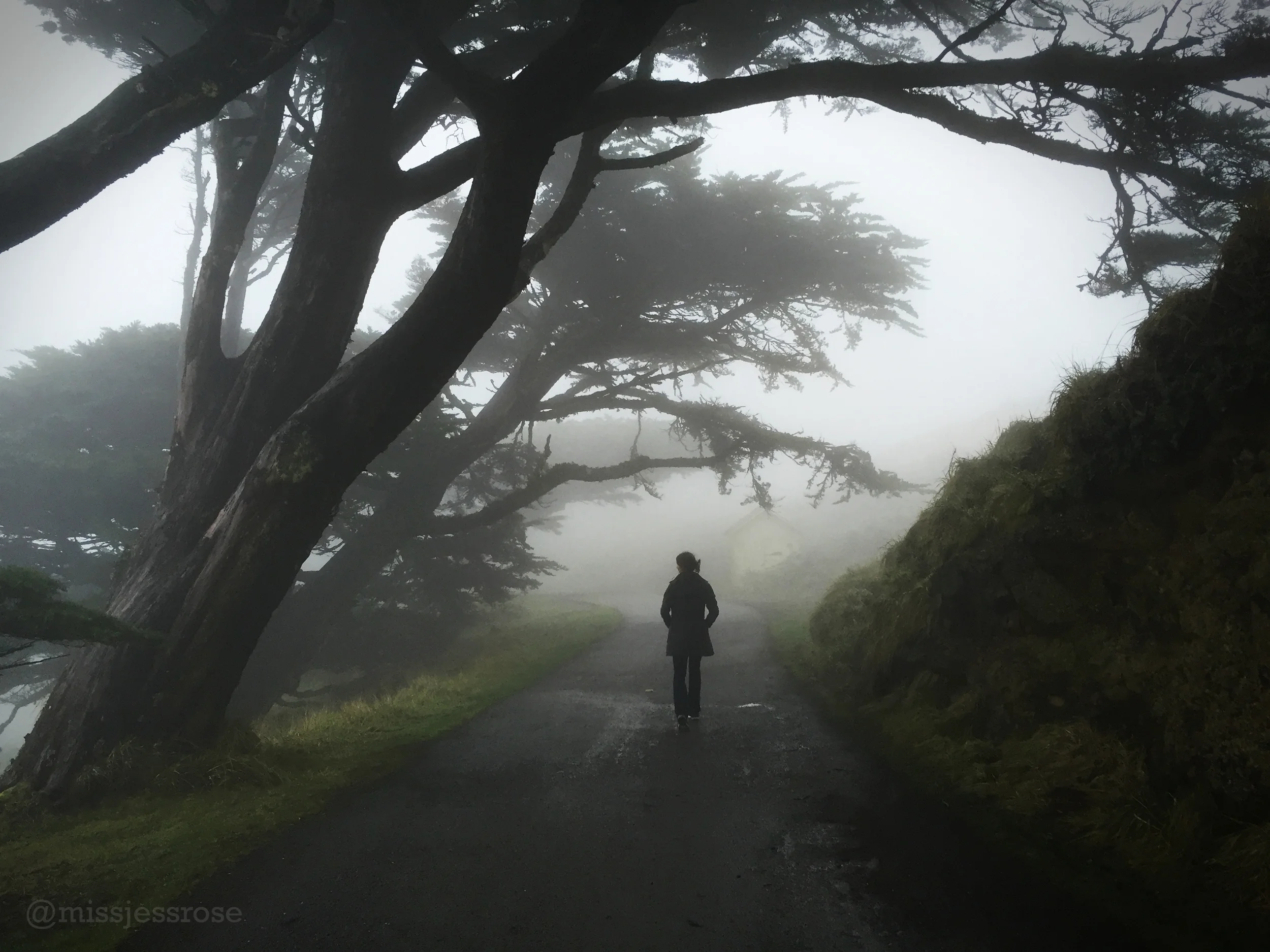 Point Reyes, Northern California.