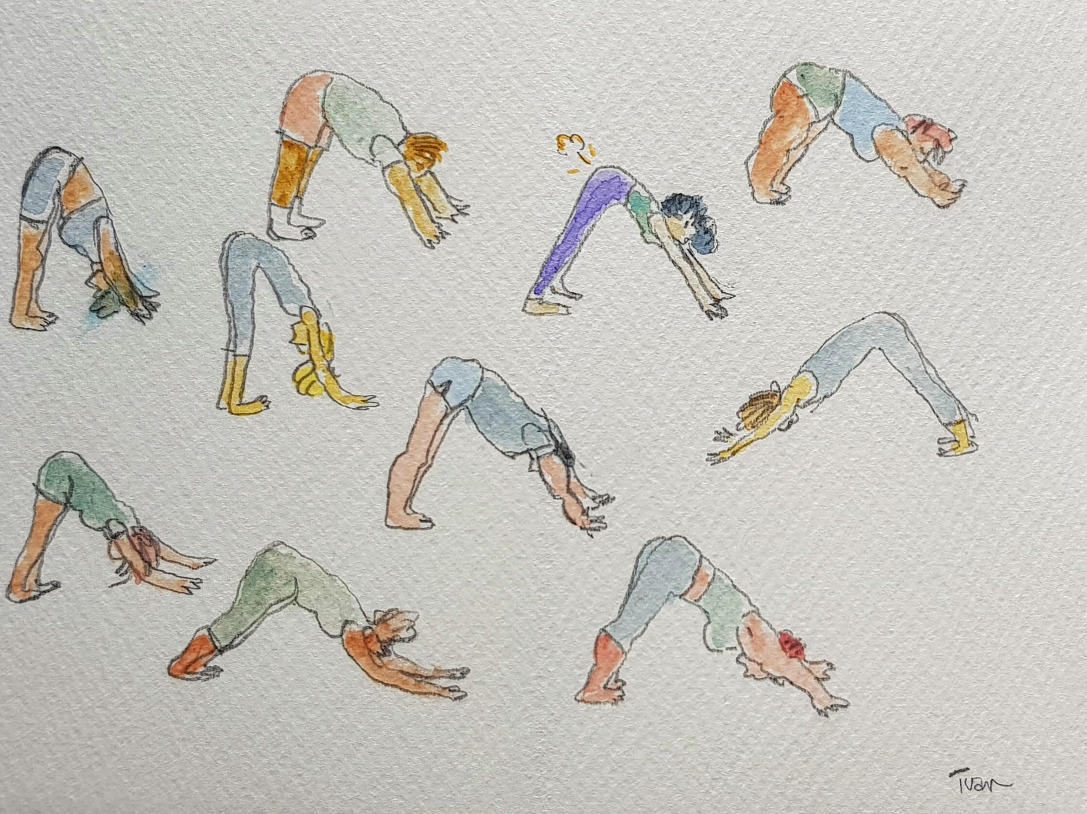 drawing downward dog.jpg