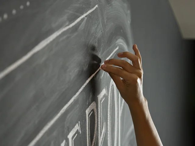 The world's oldest grape vine