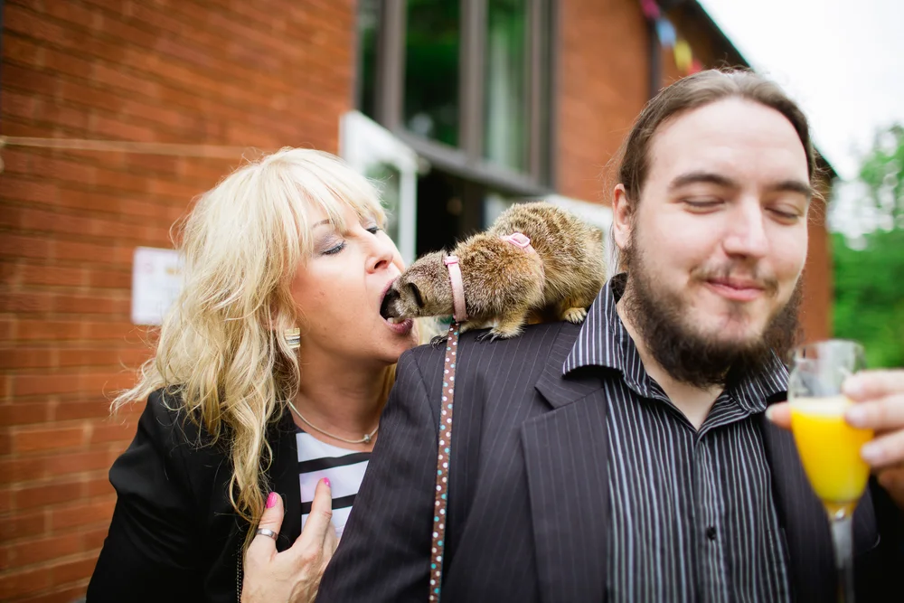 meerkat wedding - animals at weddings - Birmimgham wedding - Wildlife wedding