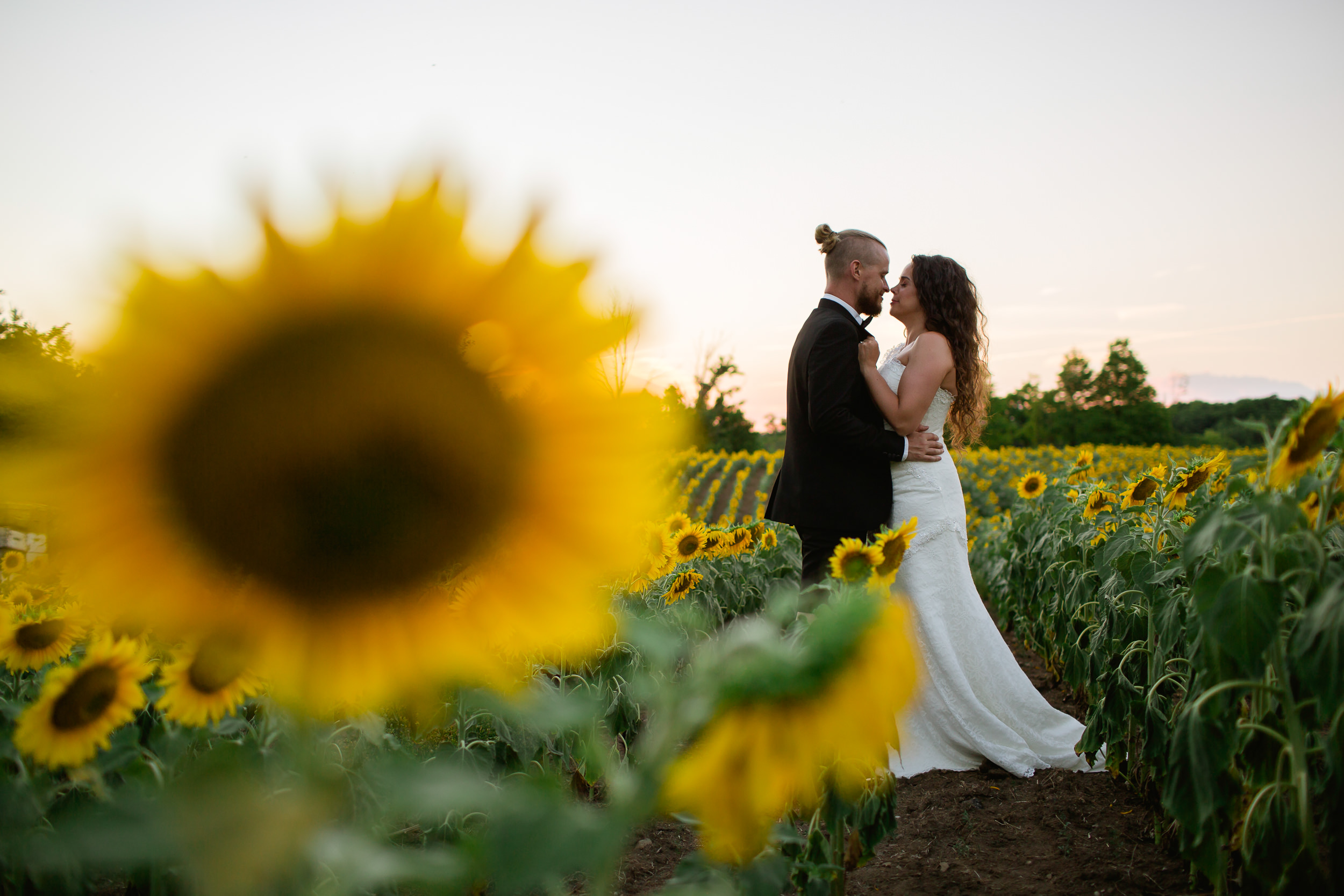 bride and groom sunflowers - sunflower portraits - wedding in toronto