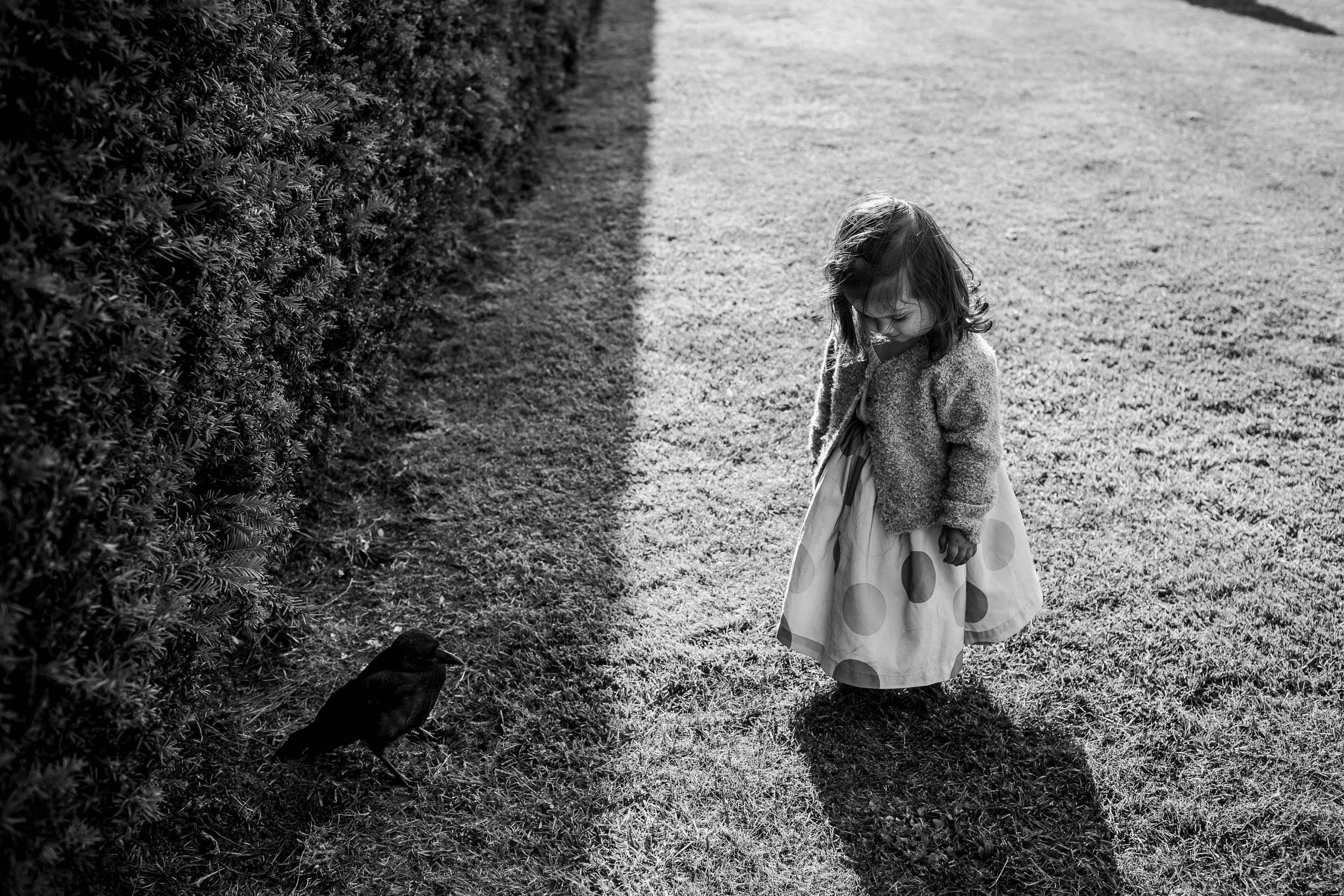 Flower girl at a wedding - flower girl and her crow - YSP wedding - 