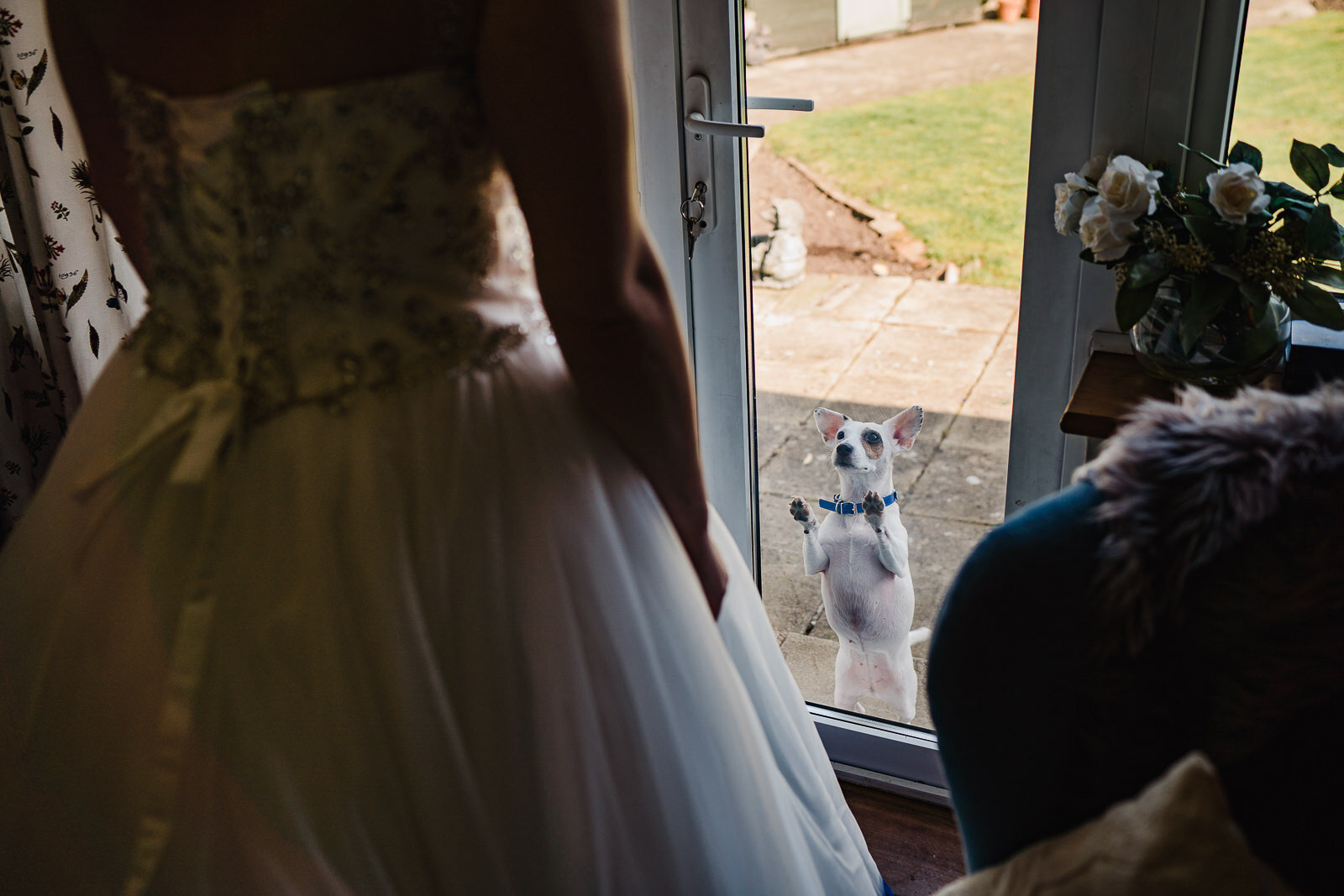 a dog watches its human get ready for a wedding in coventry